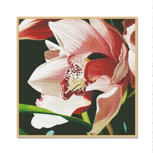 Orchidee Cymbidium, geteld kruissteekpatroon, digitaal patroon PDF, violet roze bloemen, oosterse wilde bloemen patroon, tropische bloemen