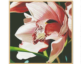 Orquídea Cymbidium, padrão de ponto cruz contado, padrão digital PDF, flores rosa violeta, padrão de flores silvestres orientais, flores tropicais
