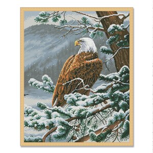 Op de afbeelding: Een Amerikaanse zeearend met bruine en witte veren zit op een met sneeuw bedekte dennentak. De arend kijkt naar links, met een besneeuwde achtergrond van een bos.