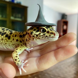 Leopard gecko sweater deals