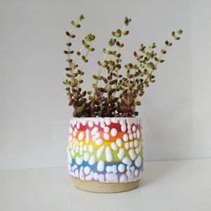 Small Ceramic Rainbow Succulent Planter with Crawl Glaze, LGBTQ, Gay, Pride Flag, Succulent, Cacti, Plant Pot, Wheel Thrown, Stripy Pottery image 3