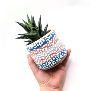 May include: A small ceramic planter featuring a textured pattern of raised white dots over horizontal stripes of blue, white, and pink. A dark green succulent with pointed, striped leaves is planted inside the cylindrical container.