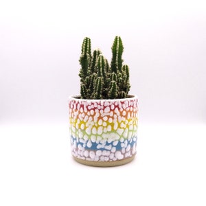 May include: A small green cactus in a rainbow-patterned ceramic pot. The pot features a textured, dotted design in red, orange, yellow, green, blue, and white. The cactus has multiple upright stems.