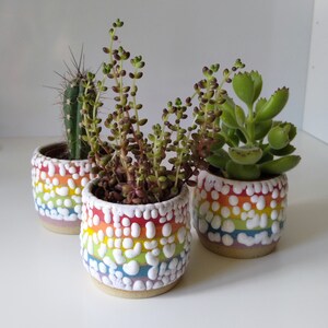 Small Ceramic Rainbow Succulent Planter with Crawl Glaze, LGBTQ, Gay, Pride Flag, Succulent, Cacti, Plant Pot, Wheel Thrown, Stripy Pottery image 4