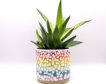 Ceramic Rainbow Succulent Planter with Crawl Glaze, LGBTQ+, Gay, Pride Flag, Succulent, Cacti, Plant Pot, Wheel Thrown, Stripy Pottery