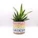 see more listings in the Ceramic Planters section
