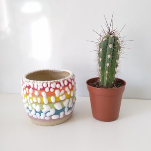 Small Ceramic Rainbow Succulent Planter with Crawl Glaze, LGBTQ, Gay, Pride Flag, Succulent, Cacti, Plant Pot, Wheel Thrown, Stripy Pottery image 10