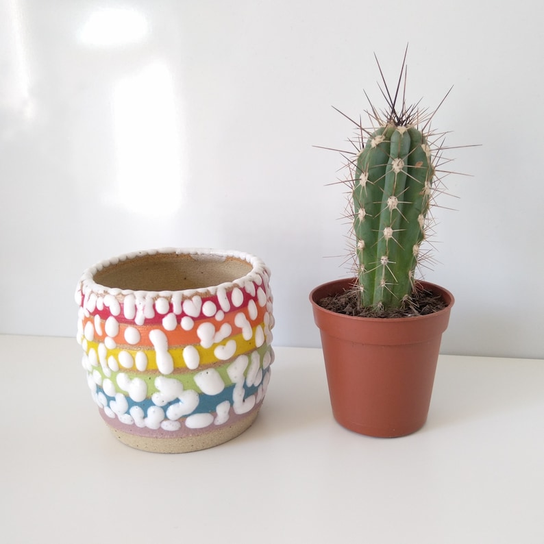 Small Ceramic Rainbow Succulent Planter with Crawl Glaze, LGBTQ, Gay, Pride Flag, Succulent, Cacti, Plant Pot, Wheel Thrown, Stripy Pottery image 10