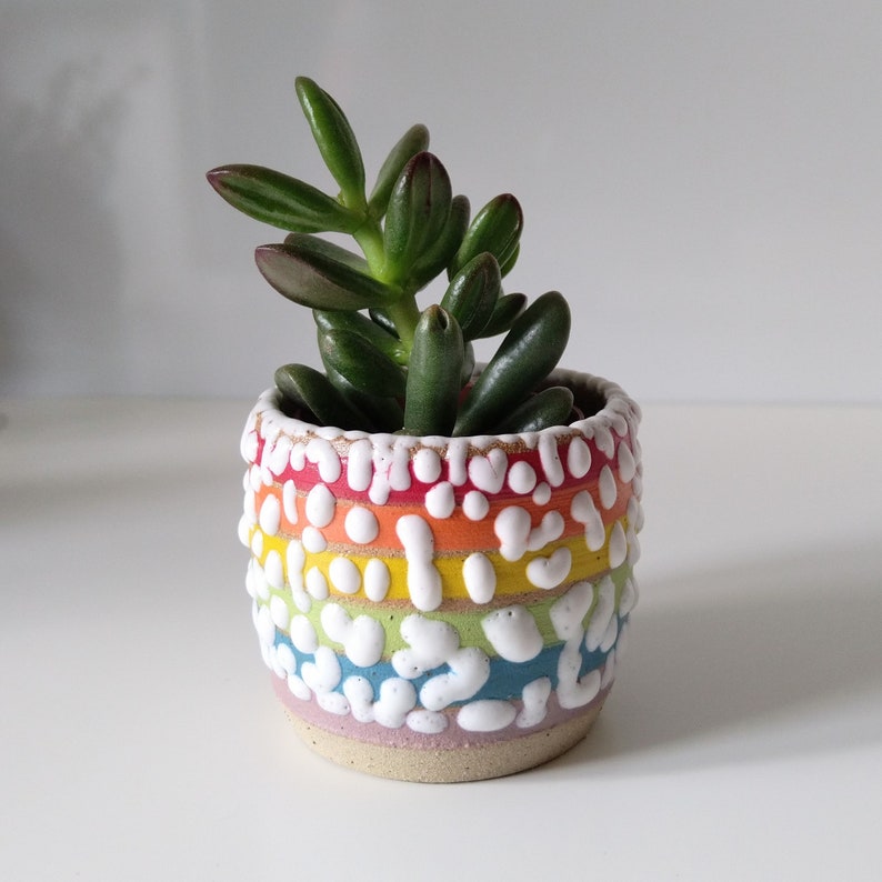 Small Ceramic Rainbow Succulent Planter with Crawl Glaze, LGBTQ, Gay, Pride Flag, Succulent, Cacti, Plant Pot, Wheel Thrown, Stripy Pottery image 2