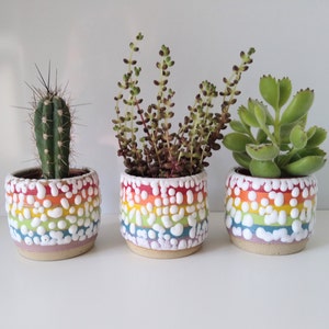 Small Ceramic Rainbow Succulent Planter with Crawl Glaze, LGBTQ, Gay, Pride Flag, Succulent, Cacti, Plant Pot, Wheel Thrown, Stripy Pottery image 1