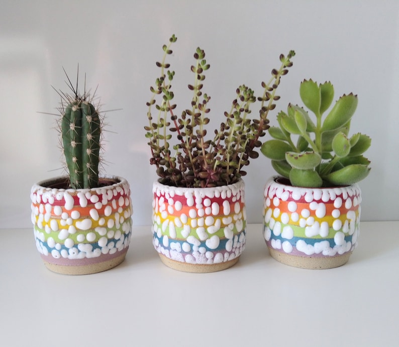 Small Ceramic Rainbow Succulent Planter with Crawl Glaze, LGBTQ, Gay, Pride Flag, Succulent, Cacti, Plant Pot, Wheel Thrown, Stripy Pottery image 1