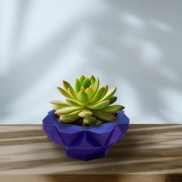Small Purple and Blue Planter