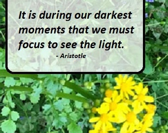 Digital Download Printable Frameable Photo of Yellow Wildflowers with Inspirational Aristotle Quote