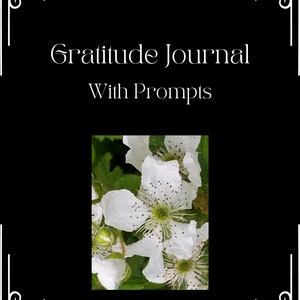 Printable Gratitude Journal with Prompts from Intrinsic Vicissitude with Sleek Black Cover With White Lettering and White Flowers