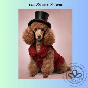 Könnte beinhalten: Ein brauner Pudel, der eine rote, gekräuselte Weste und einen schwarzen Zylinder mit einer roten Blume trägt. Der Hund sitzt auf einem rosa Hintergrund.