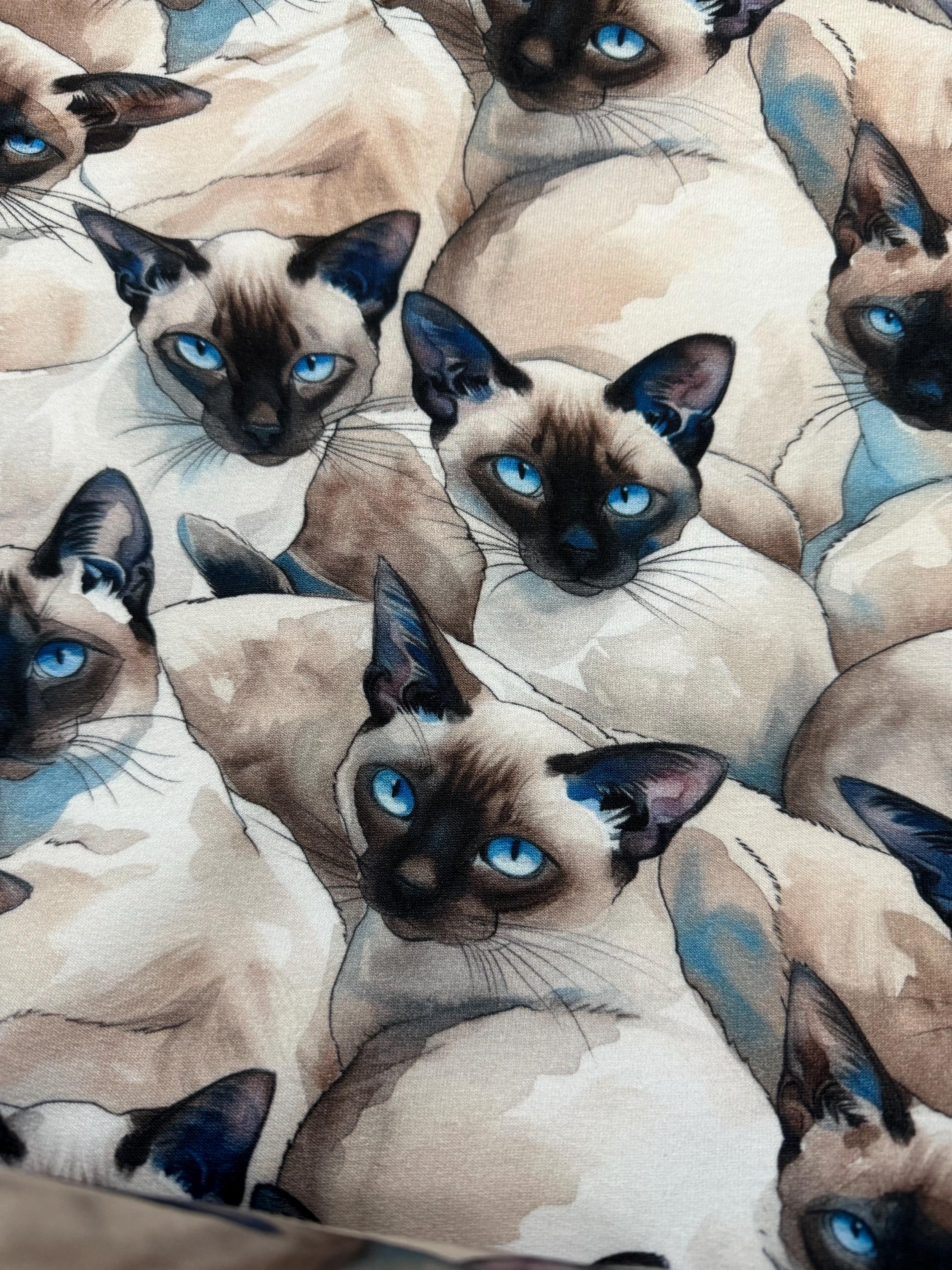 50 cm Siamese pedigree cats blue eyes cat lovers sold by the meter 180 cm wide summer sweat - French Terry