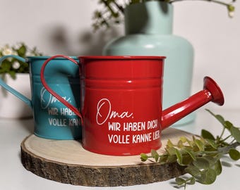 Vintage Metall-Gießkanne – dekorative Gießkanne mit Brause | Pflanzentopf & Geschenkidee für Omas, Mamas und allen anderen