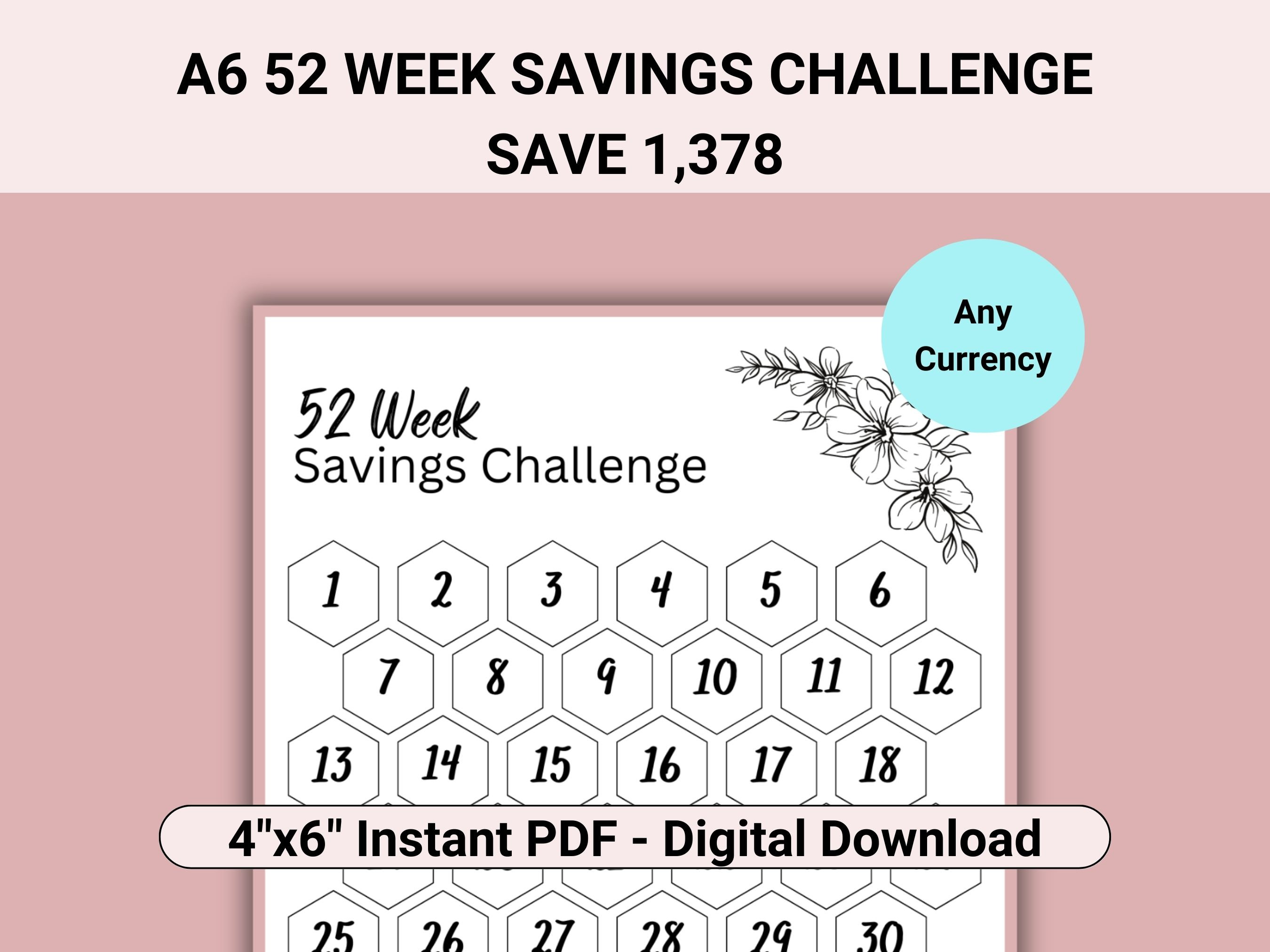 Mini Challenge A6 52 semaines (défi enveloppes budget) // Epargne 1378  euros - Thème UNICORNE