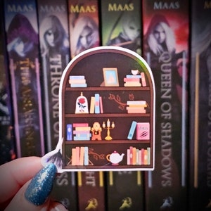 Princess Bookshelf Sticker | Stickers for Book Lovers | Water Resistant | Handmade | Vinyl Laminated Sticker