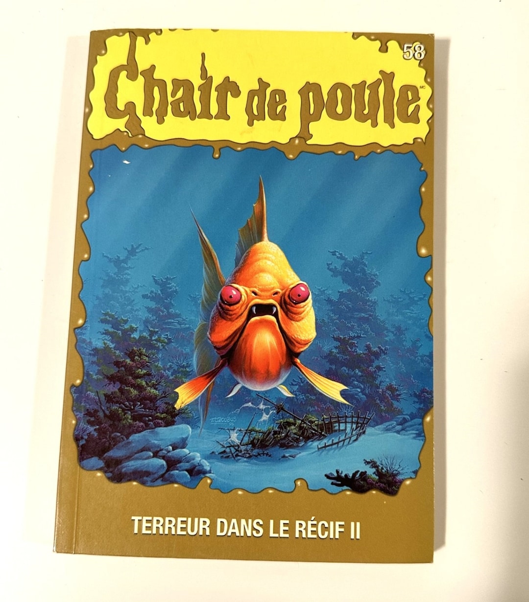 Livre Super RARE Chair De Poule Terreur Dans Le Récif II No Etsy UK