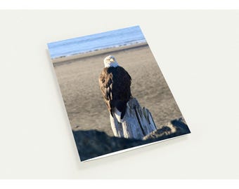 May include: A rectangular greeting card featuring a photograph of a bald eagle with a white head and dark brown body perched on a weathered wooden post. The background shows a sandy beach and the blue water of the ocean under daylight.