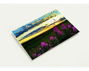 May include: A rectangular photographic print featuring a vibrant sunset with yellow and blue clouds over a dark green field. In the foreground, clusters of bright magenta fireweed flowers stand tall against the darkening landscape.