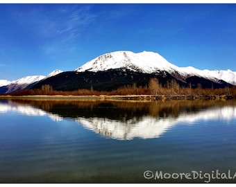 May include: A snow-capped mountain range under a clear blue sky, reflected in the calm water of a lake. A line of brown, leafless trees sits along the shoreline. The text MooreDigitalAK is visible in the bottom right corner of the image.