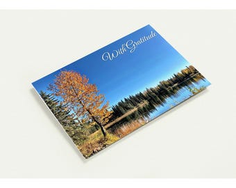 May include: A rectangular greeting card featuring a landscape photograph of a lake surrounded by evergreen trees and a single golden-leafed tree under a clear blue sky. The text With Gratitude is printed in white script in the upper right corner.