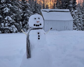 May include: A snowman constructed from three large snowballs, featuring dark stone eyes, a carrot nose, a stone mouth, and two stone buttons on the chest. It wears a long, patterned gray scarf and has two thin sticks for arms.