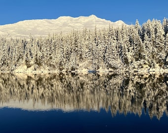 May include: A snow-covered mountain range rises behind a dense forest of evergreen trees heavily coated in white snow. The entire landscape is reflected clearly in the calm, dark blue water of a lake in the foreground under a clear sky.
