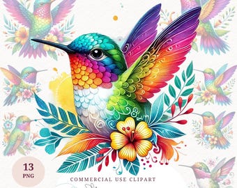 Paquete de imágenes prediseñadas de colibrí en acuarela, gráficos de aves PNG florales, imprimibles, coloridos, descarga digital, diseño de camisetas, manualidades de papel, impresiones de tazas, tarjetas