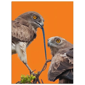 Póster de papel mate con calidad de museo.