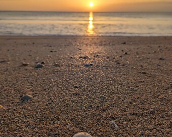 Seashells at Sunrise 3