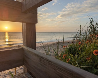 Sunrise Through Boardwalk with Flowers