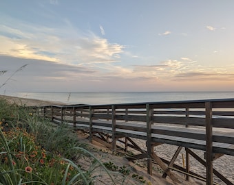 Boardwalk Sunrise with Flowers