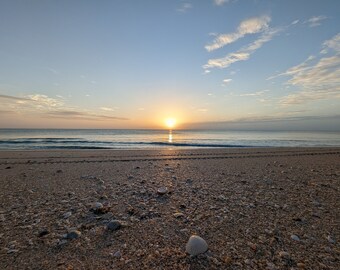 Seashells at Sunrise 2