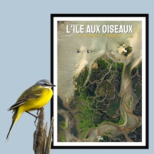 Peut inclure: Un oiseau jaune et gris perché sur une branche avec une affiche en arrière-plan. L'affiche est intitulée "L'ILE AUX OISEAUX" avec le texte "LES CABANES TCHANQUEES" en dessous.