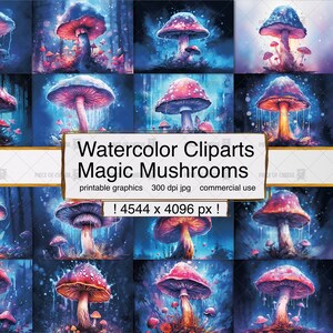 Clipart dei funghi magici / 300dpi / 16 file JPG separati e stampabili / download istantaneo / uso commerciale / 38 x 34 cm GRANDE