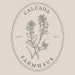 Maddy Calzada