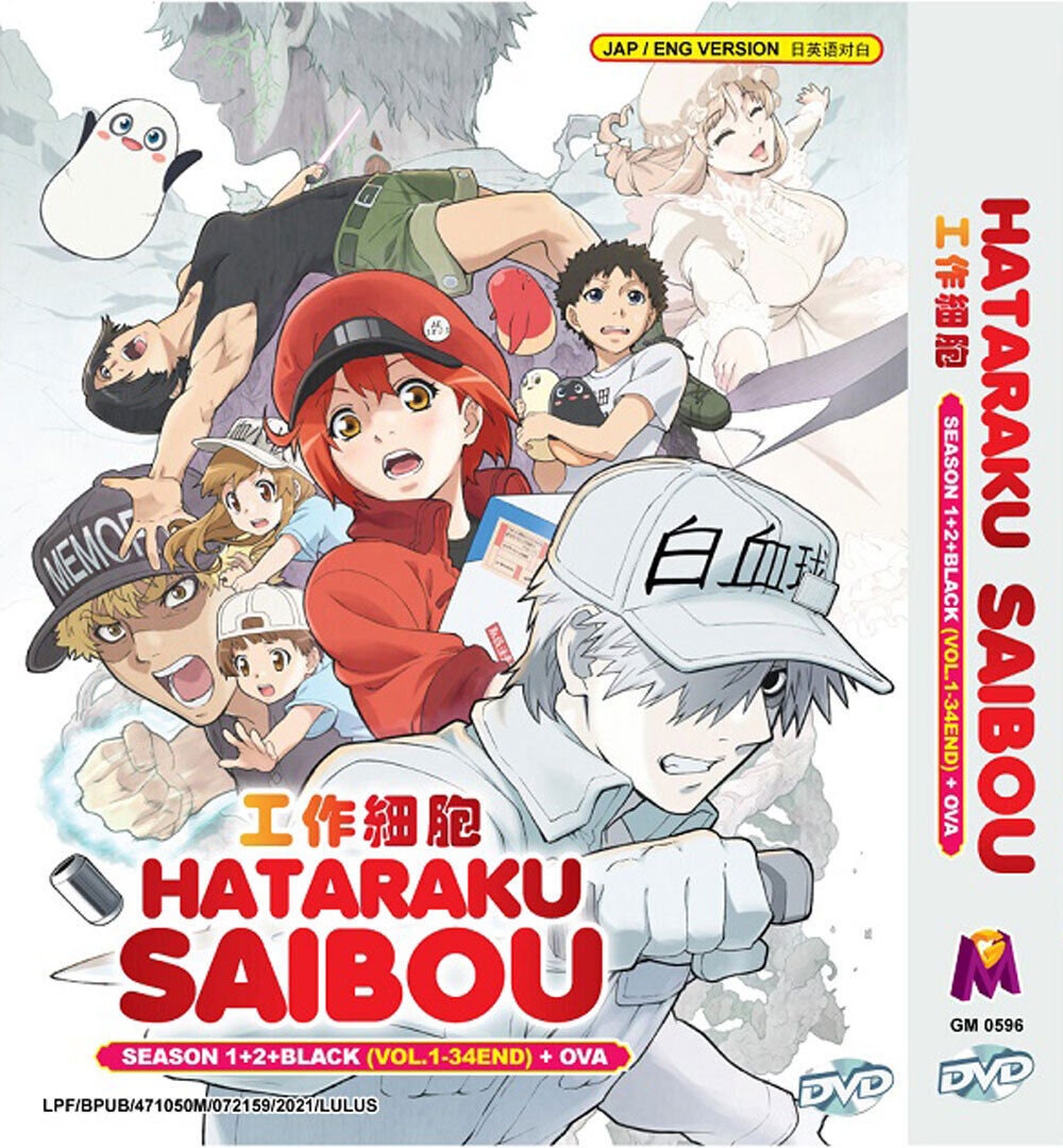 Anime DVD Hataraku Saibou Kaze Shoukougun Eng Sub&all Region L6 for sale  online