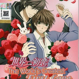 DVD Anime Sekai Ichi Hatsukoi Season 1+2 (1-26 End) +2 Movie  With English Subtitle And All Region - Free Express Shipping