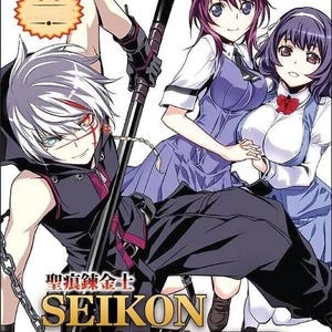 Dvd-anime Seikon No Qwaser Uncut Seizoen 1-2-serie (afl. 1-36 en OVA) boxset, Engelse ondertiteling en regiovrij DHL Express