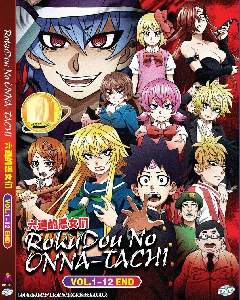 DVD Anime Shinmai Renkinjutsushi No Tenpo Keiei 1-12 End 