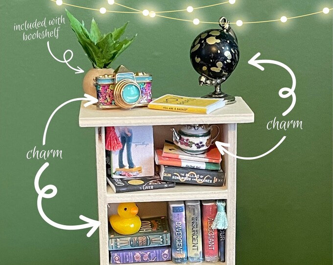 Custom Mini Bookshelf Etsy