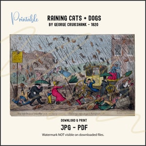 May include: A vintage illustration by George Cruikshank depicting a humorous scene of cats and dogs raining down on people in a city street. The illustration is titled "Raining Cats + Dogs" and dated 1820.