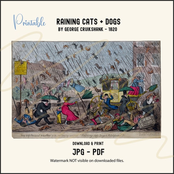 Raining Cats and Dogs 未開封BOX RainingCatsandDogs.jpg?v=