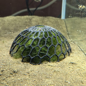 May include: A black, dome-shaped aquarium decoration with a honeycomb pattern, filled with vibrant green aquatic plants. The decoration sits on a sandy substrate, creating a naturalistic underwater environment. The image showcases a close-up view of the decorative element.