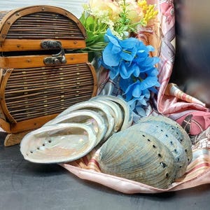 May include: A decorative wooden chest with a hinged lid and metal clasp, alongside several iridescent abalone shells. A bouquet of blue and yellow flowers and a patterned silk scarf complete the display. The shells are a mix of blue, gray, and white.