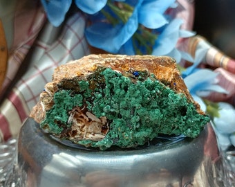 May include: A natural mineral specimen featuring a rough, brown and tan rock formation with a vibrant green, textured surface. Small blue accents are visible. The mineral sits on a silver decorative dish, with a floral and fabric background.