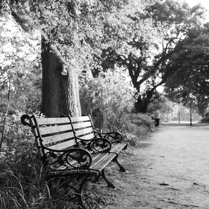 Charleston, South Carolina Photography